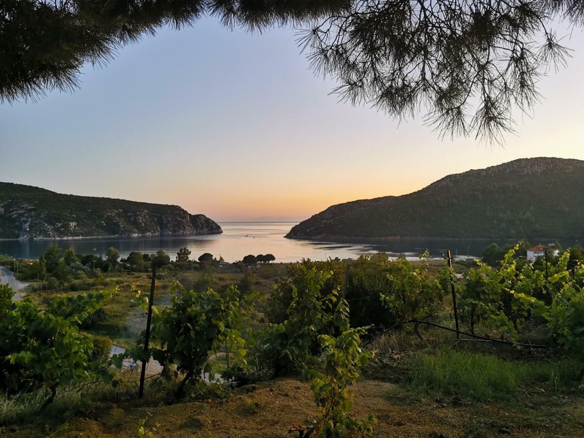 Porto Koufo Resort Bungalows Ngoại thất bức ảnh